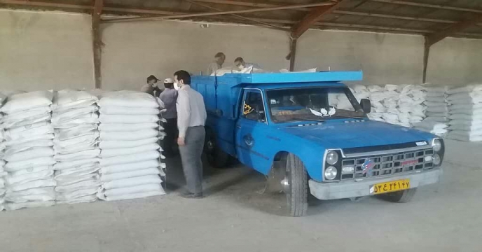 بارگیری کودسوپر فسفات تریپل از انبار سازمانی استان مرکزی