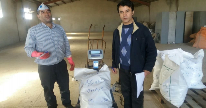عملیات بازسازی و توزین و تعویض ظروف سموم سنواتی تاریخ منقضی و غیر قابل مصرف جهت امحاء و ارسال به مجتمع شیمیایی آبیک در انبار علی آباد استان مرکزی دیماه 1398