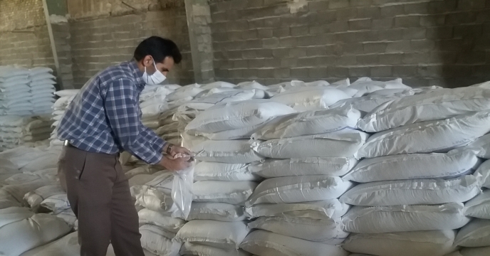 نمونه برداری از کود سولفات پتاسیم گرانوله انبار شهید شاملو – استان مرکزی