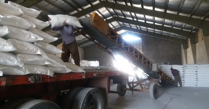 توزیع کود اوره در شهرستان خمین روستای قورچی باشی
