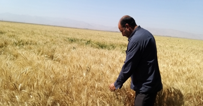 برگزاری جشن تیرگان در منطقه فراهان استان مرکزی – تیرماه 1402