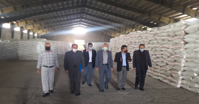 بازدید 