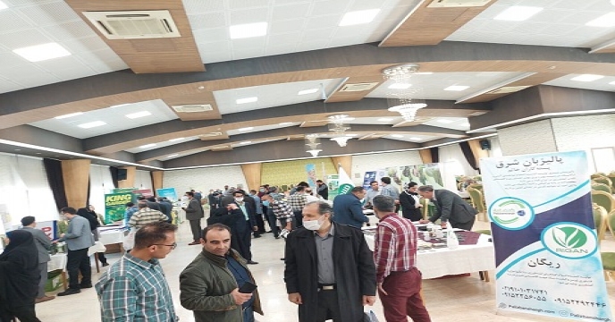 دومین همایش