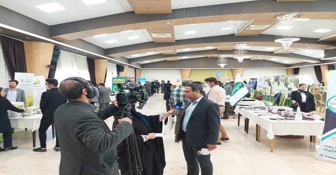دومین همایش