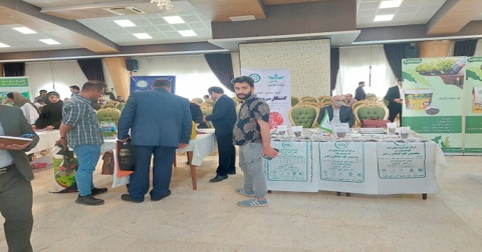 دومین همایش
