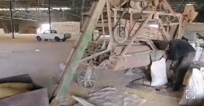 بوجاری بذر جو2