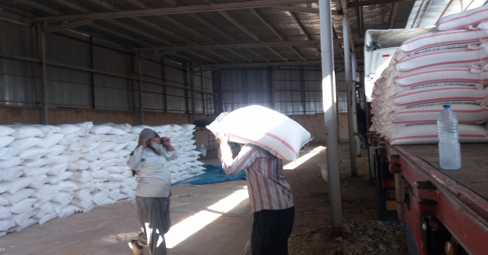 حمل 5 تریلی کود اوره 