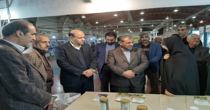 استقبال پر شور بازدید کنندگان 