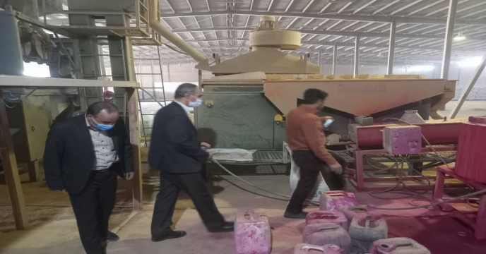 بوجاری بذر گندم رقم سیوند