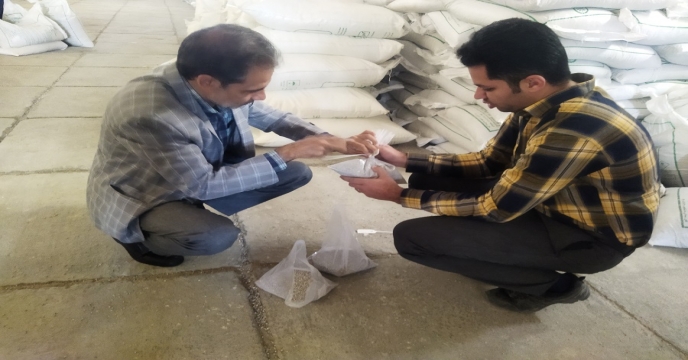 نمونه برداری از 200 تن کود فسفاته 13% در استان خراسان جنوبی