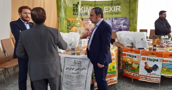 شرکت خدمات حمایتی کشاورزی
