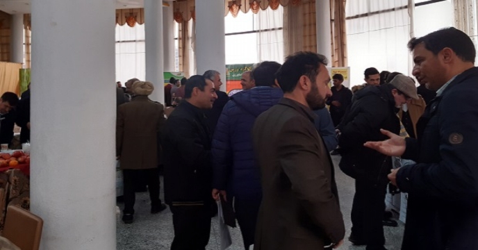 شرکت خدمات حمایتی کشاورزی