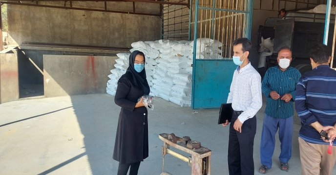 بازدید کار گروه پایش از تعاونی روستایی(شقایق) شهر آبپخش،شهرستان دشتستان