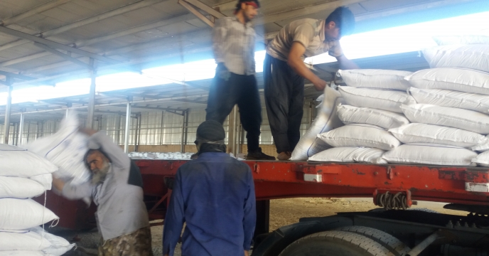 تخلیه کود سولفات پتاسیم پودری