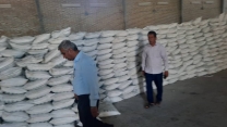 بازدید از انبار سازمانی شرکت خدمات حمایتی کشاورزی استان کهگیلویه و بویراحمد