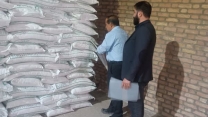نمونه‌برداری از کود سولفات پتاسیم توسط شرکت خدمات حمایتی کشاورزی استان قزوین