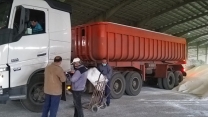 شرکت خدمات حمایتی کشاورزی مقدار ۴۳۸۵ تن کود یارانه‌ای در شهرستان درگزین توزیع کرد