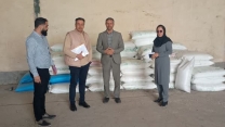 نظارت و کنترل اکیپ پایش شرکت خدمات حمایتی کشاورزی استان قزوین از انبار کارگزاری تاک دشت ضیاء