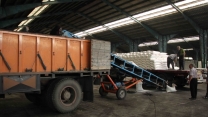 مدیر شرکت خدمات حمایتی کشاورزی گیلان ازحمایت از تولید گندم با توزیع گسترده کودهای کشاورزی خبرداد