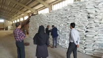 نمونه برداری از کود سولفات پتاسیم گرانوله در انبار شرکت خدمات حمایتی کشاورزی خراسان جنوبی