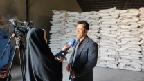 حمایت و پشتیبانی شرکت خدمات حمایتی کشاورزی استان همدان از  کشت گندم در شهرستان کبودرآهنگ با بیشترین میزان کود تخصیصی 
