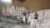 توزیع بیش از ۳۲۰۰ تن انواع کود یارانه‌ای در تکاب توسط شرکت خدمات حمایتی کشاورزی استان آذربایجان غربی
