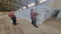 شرکت خدمات حمایتی کشاورزی خوزستان در دوازده ماهه سال 1403 از 15200 تن کود دی‌آمونیوم نمونه برداری کرد