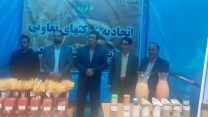 همایش روز ملی گندم و نان در استان برگزار شد