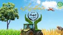 پیام تبریک مدیرعامل و عضو هیئت مدیره شرکت خدمات حمایتی کشاورزی بمناسبت فرا رسیدن هفته جهاد کشاورزی