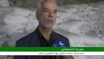  بازدید میدانی کارگروه رصد و پایش شعبه از انبارهای کارگزاران توزیع کودهای کشاورزی شهرستان‌های سلسله و دلفان 