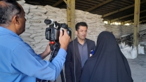 توزیع بیش از 52 هزار تن انواع کود کشاورزی یارانه ای برای کشت گندم در استان همدان توسط شرکت خدمات حمایتی کشاورزی