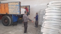 مقدار 4076 تن انواع کود کشاورزی از طریق کارگزاری های مجاز شرکت بین بهره برداران شهرستان رودبار جنوب توزیع شد
