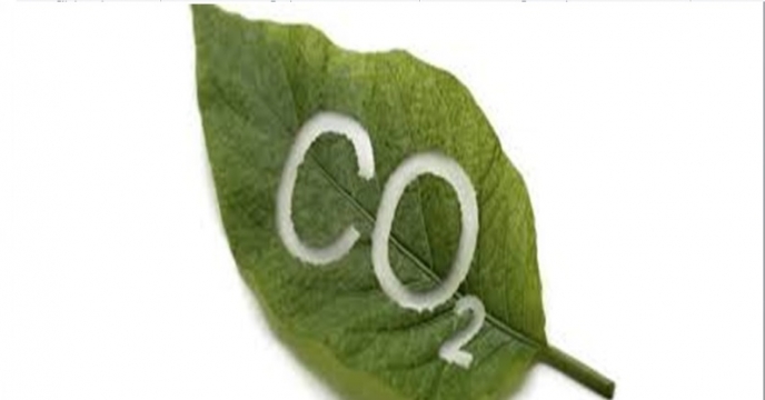 افزایش دی اکسید کربن و نیاز به کودهای شیمیایی