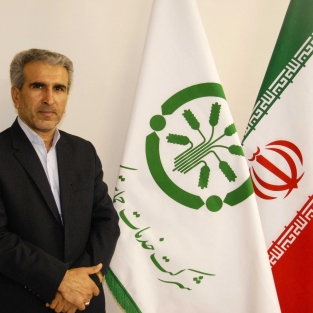 مرتضی مرادی