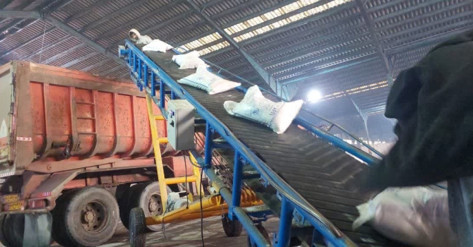 ذخیره سازی 200 تن کود سولفات پتاسیم گرانوله در انبار سازمانی رضوانشهر