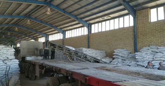 کود کشاورزی؛ جان‌بخش مزارع گندم اسدآباد