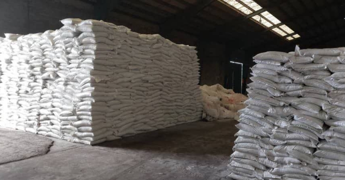 توزیع بیش از  441 تن کود سولفات پتاسیم گرانوله در انبار کارگزاران شرکت خدمات حمایتی کشاورزی استان گیلان 