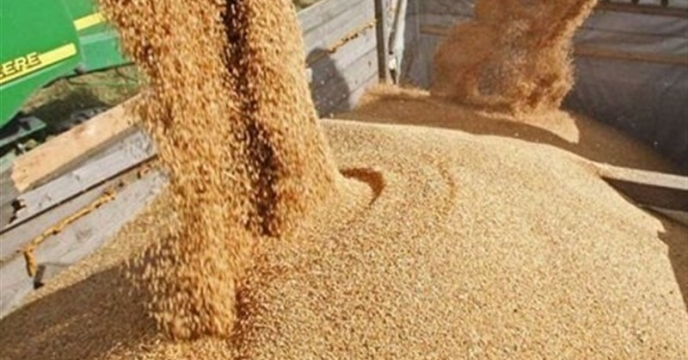 حضور مدیر شرکت خدمات حمایتی کشاورزی استان قم در جلسه ستاد اجرایی الگوی کشت استان