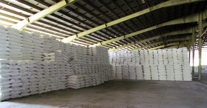 طی دو روز، ارسال حدود 600 تن انواع کود شیمیایی برای کارگزاران شرکت خدمات حمایتی کشاورزی استان همدان 