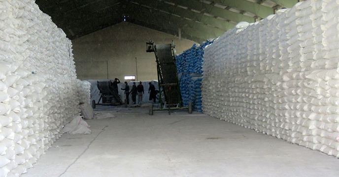 ارسال کود شیمیایی اوره برای کارگزاران شرکت خدمات حمایتی کشاورزی استان همدان