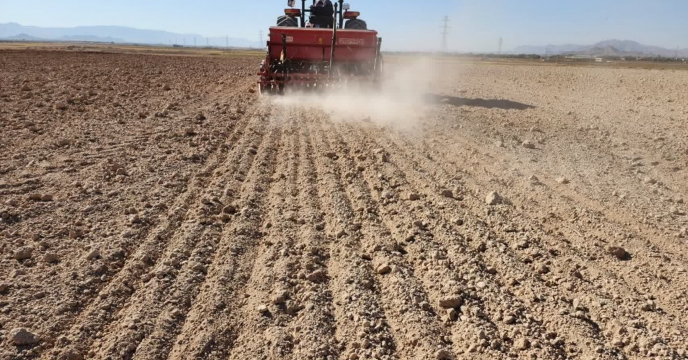 تامین کود مورد نیاز مزارع کاشت کلزا در شهرستان مبارکه اصفهان