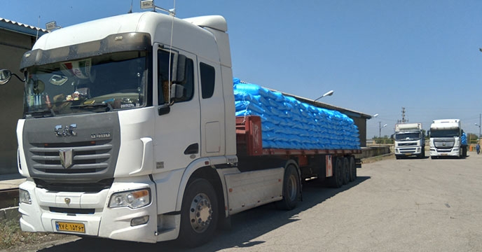 توزیع ۸۵۰۰ تُن کود کشاورزی برای کشت جو در همدان توسط شرکت خدمات حمایتی کشاورزی استان