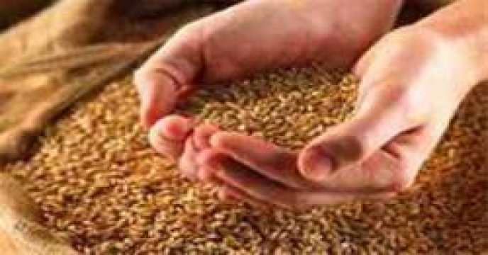 تهیه ، تأمین و توزیع 2232900 کیلو گرم انواع بذر 