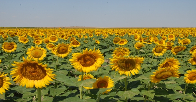 کلاس آموزش هواشناسی به کاربران و بهره برداران بخش کشاورزی استان هرمزگان 