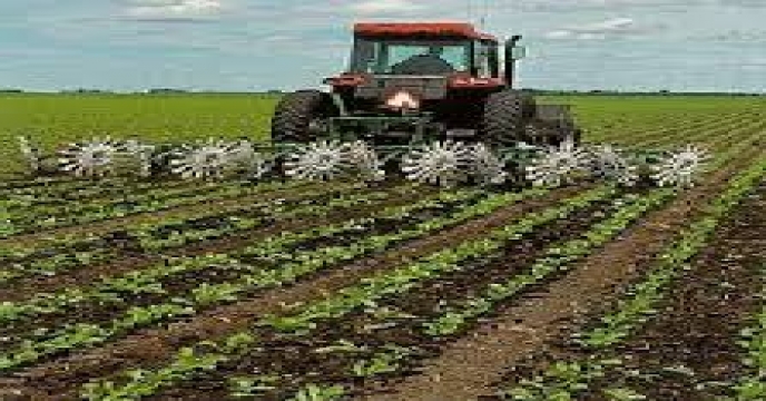 ساماندهی 40 درصد از اراضی دیم کشور تا پنج سال آینده/ اجرای طرح "انتخاب مشارکتی" با همکاری معاونت زراعت