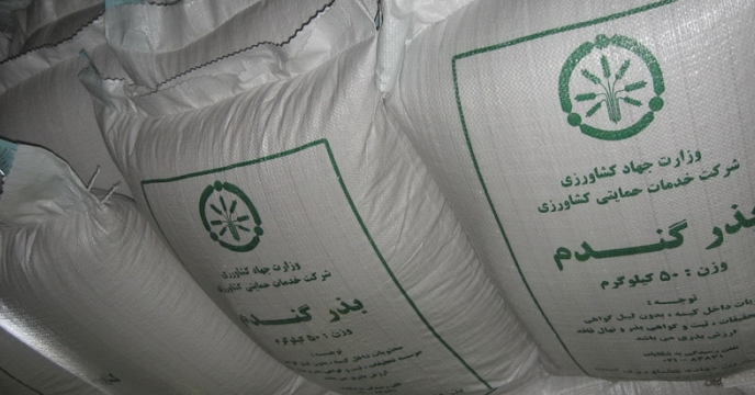 برنامه تولید 3400 تن بذر گندم اصلاح شده در استان مازندران