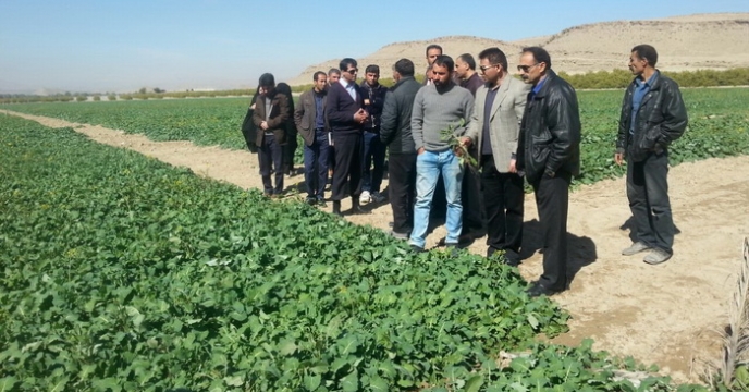 كارگاه آموزشی افزايش بهره وری و بهبود تغذيه گياهی در استان فارس