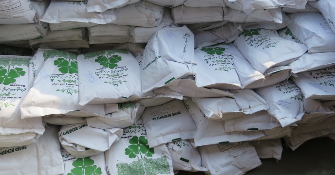 تامین و توزیع 100 هزار کیلوگرم بذر شبدر در استان مازندران