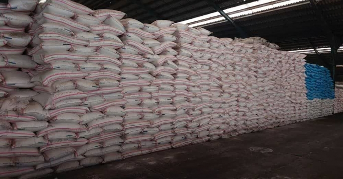 توزیع بیش از  5093 تن کود سولفات پتاسیم گرانوله در انبار کارگزاران شرکت خدمات حمایتی کشاورزی استان گیلان 