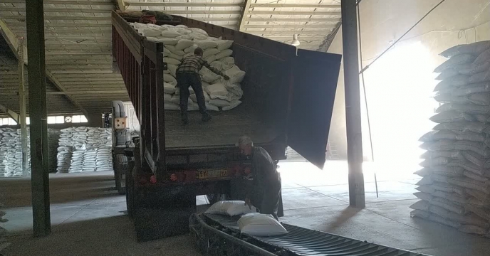 گندم ملایر؛ توسعه محصول ، توزیع پایدارکود با ثبت الکترونیکی نهاده در شبکه کارگزاری